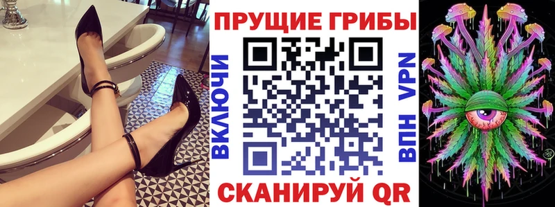 Псилоцибиновые грибы Psilocybine cubensis  Сусуман 