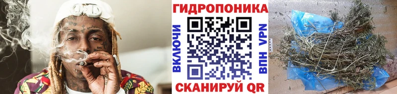 гидра онион  Сусуман  Бошки Шишки White Widow 